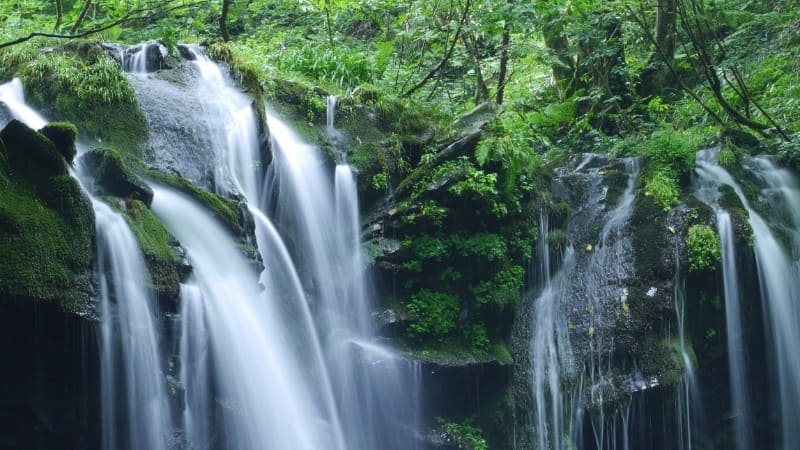 兵庫県の猿壺の滝